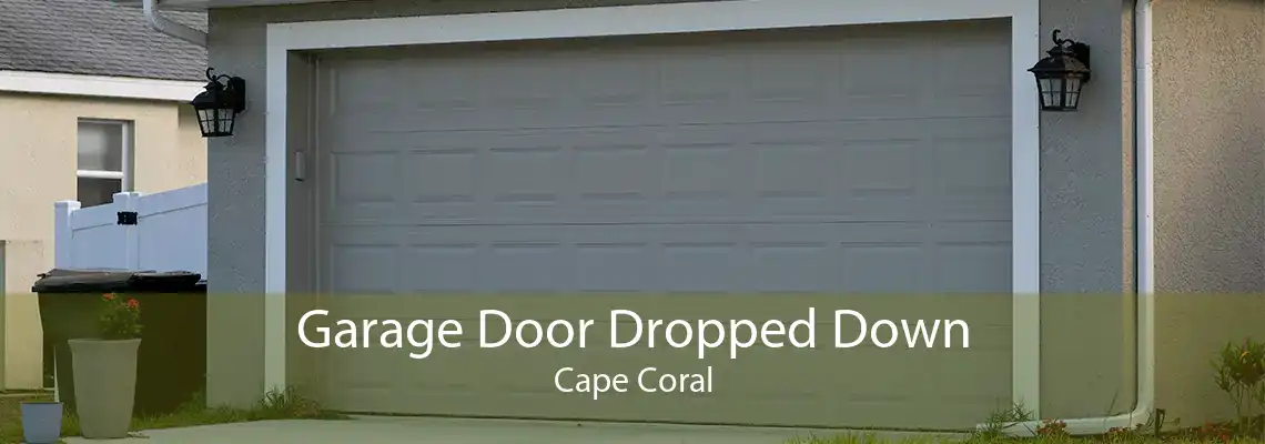 Garage Door Dropped Down Cape Coral