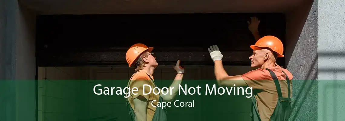 Garage Door Not Moving Cape Coral